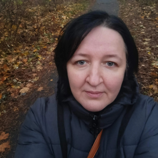 Статистика Дзен Елена Вязальная 
