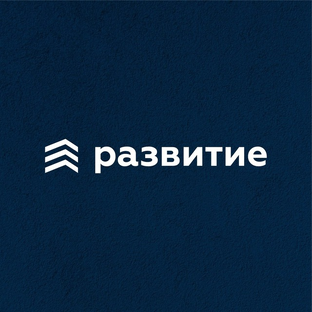 Статистика Дзен ГК «Развитие»