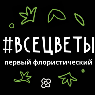 Статистика Дзен AllFlow (ВсеЦветы)