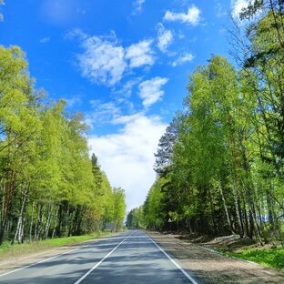 Полезные путешествия 