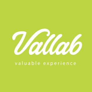 Статистика Дзен Vallab – Безналичный чек