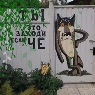 Статистика Дзен Мечты сбываются 
