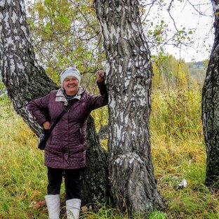 Статистика Дзен Екатерина про Кемерово