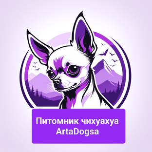 Питомник собак чихуахуа Artadogsa