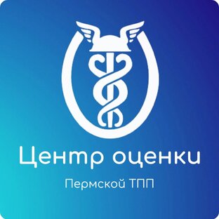 Статистика Дзен ЦЕНТР ОЦЕНКИ Пермской ТПП