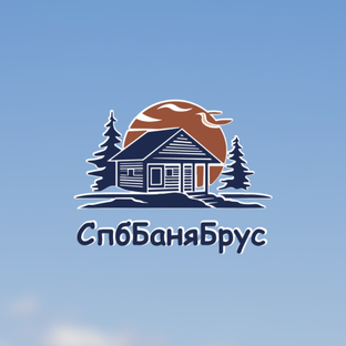 Статистика Дзен СпбБанябрус | Дома и бани под ключ