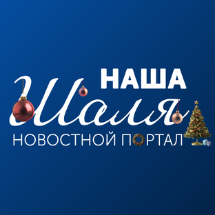 Статистика Дзен Наша Шаля | Новостной портал