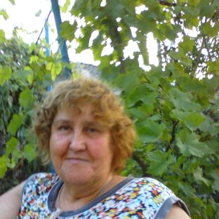 Статистика Дзен Ирина Бражник