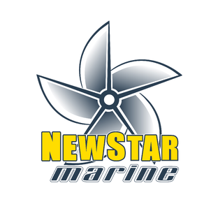 Статистика Дзен New Star Marine