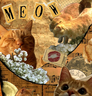 Статистика Дзен 🐈Ева-истории художницы   🎨 🖼