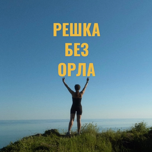 Статистика Дзен Решка без орла
