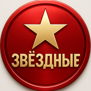 Статистика Дзен «ЗВЁЗДНЫЕ»