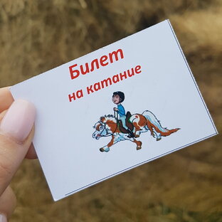 Статистика Дзен По пути впечатлений!