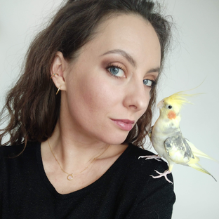 Статистика Дзен shonya17