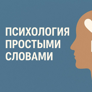 Статистика Дзен Психология простыми словами