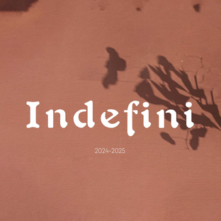 Статистика Дзен INDEFINI