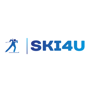Статистика Дзен SKI4U