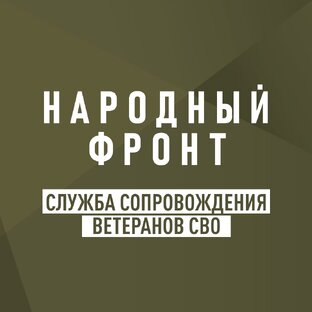 Статистика Дзен Служба сопровождения ветеранов СВО