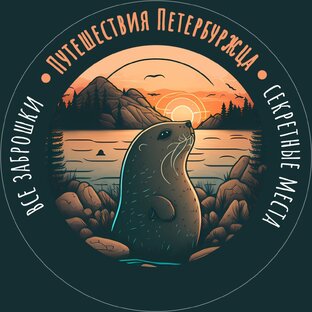 Статистика Дзен Путешествия Петербуржца | Блог Алексея Ершихина