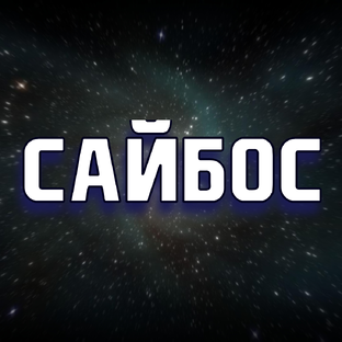 Статистика Дзен Сайбос