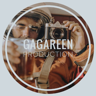 Статистика Дзен GAGAREEN PRODUCTION