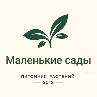 Статистика Дзен Маленькие сады