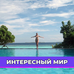 Статистика Дзен Интересный мир
