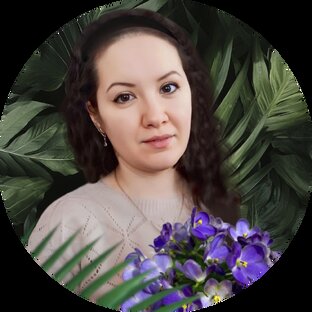 Статистика Дзен Альбина Абдуллина 🌺 Фиалки 🌱 Комнатные растения