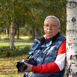 Статистика Дзен Геннадий Юдин
