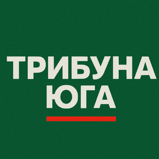 Статистика Дзен ТРИБУНА ЮГА
