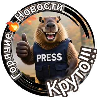 Статистика Дзен Капибара PRESS