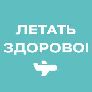 Статистика Дзен Летать здорово