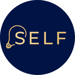 Статистика Дзен SELF-консалтинг для малого и среднего бизнеса