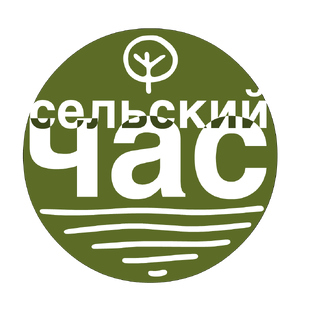 Статистика Дзен Сельский час