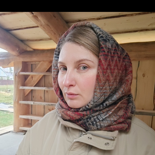 Статистика Дзен Новый сад