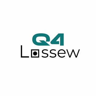 Статистика Дзен LOSSEW Q4