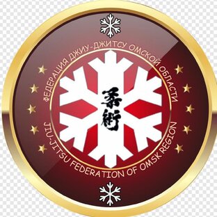 Статистика Дзен Jiu Jitsu Omsk