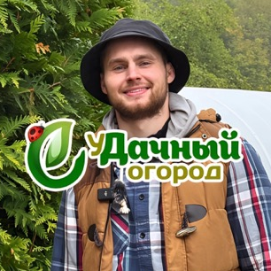 Статистика Дзен Удачный Огород