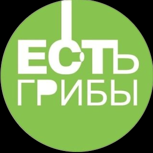 Статистика Дзен Есть Грибы
