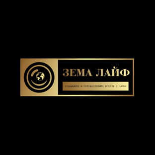 Статистика Дзен Зема Лайф