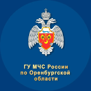 Статистика Дзен МЧС Оренбургской области
