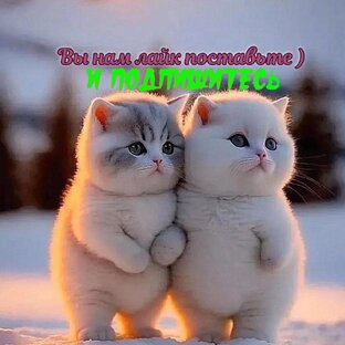 Дзен Муз Клипы 80-90 ++ статистика