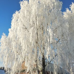 УГОЛОК МОЕЙ ДУШИ.