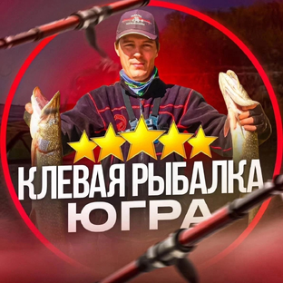 Статистика Дзен Клёвая рыбалка Югра