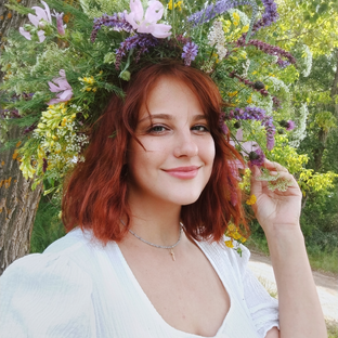 Статистика Дзен Мастерская Жука