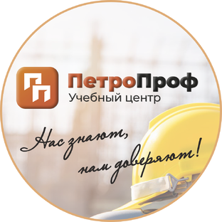 Статистика Дзен АНО ДПО «ПетроПроф»