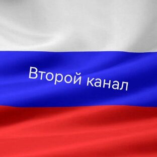 Дзен Второй канал статистика