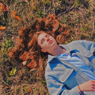 Дзен Алевтина Косенкова статистика