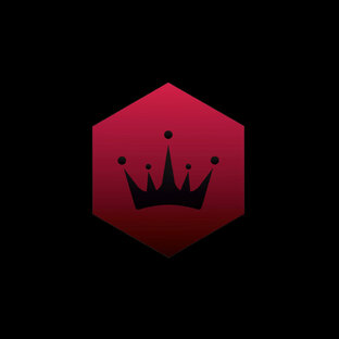 Статистика Дзен ChessChamp | Шахматные турниры в СПб