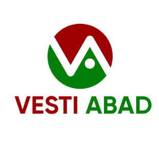 Статистика Дзен VestiAbad